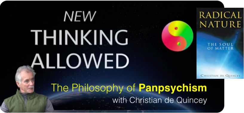 1. Panpsychism (RN)